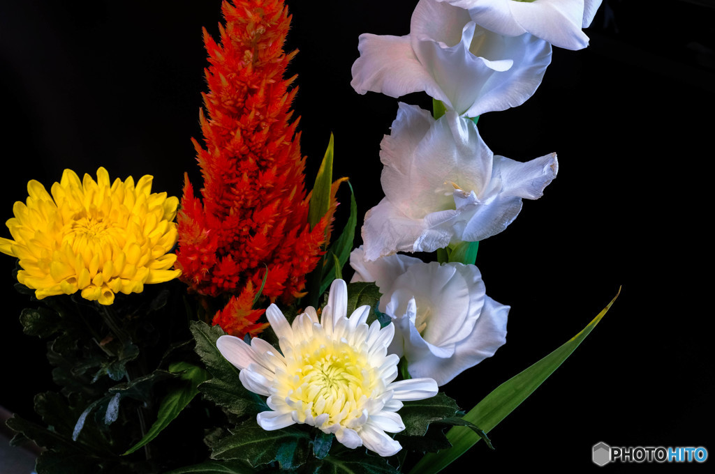 花