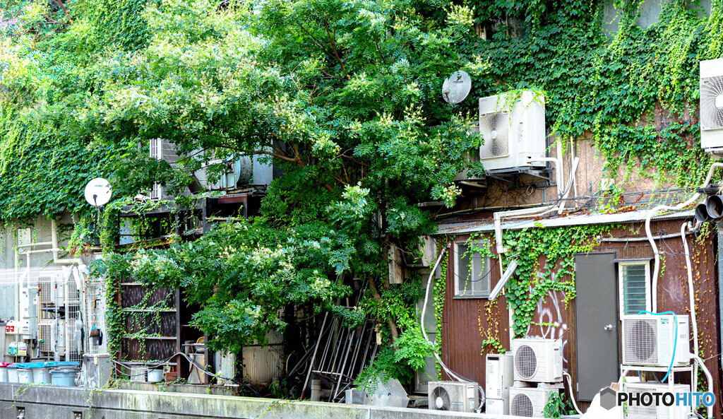 渋谷川沿い散策