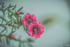 謙虚