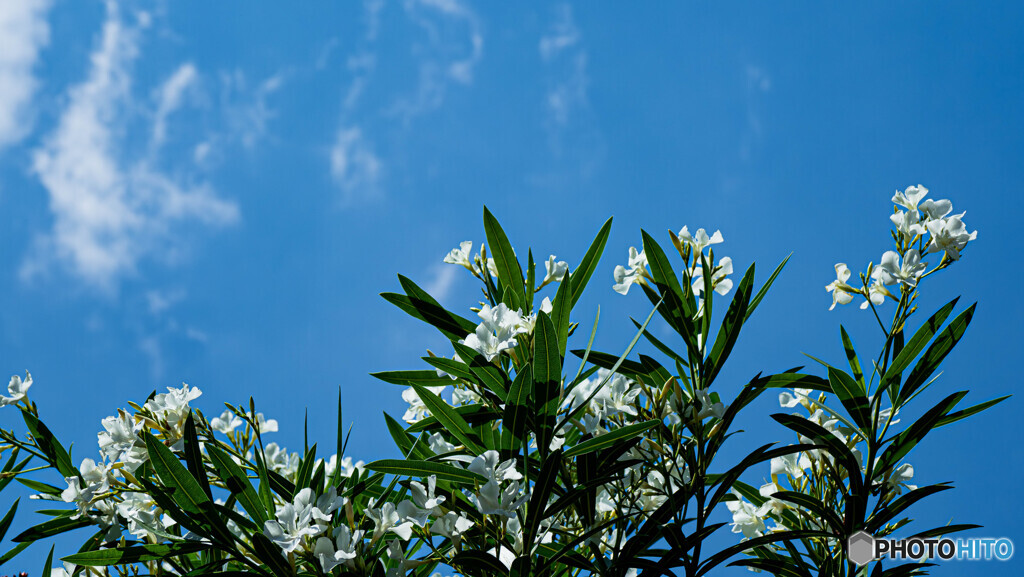 青空