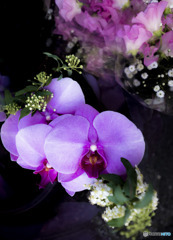 花束
