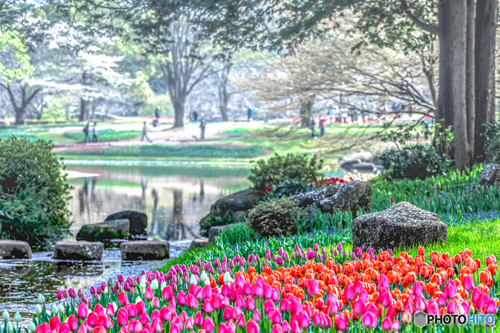 春の公園