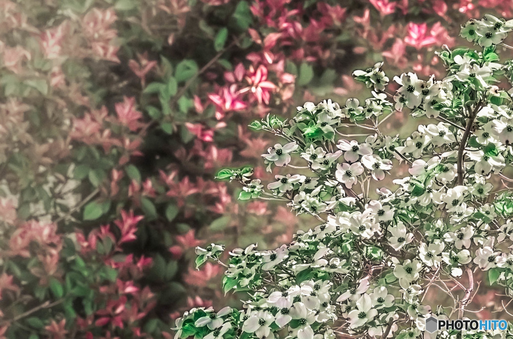 仮想の世界から