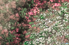 仮想の世界から