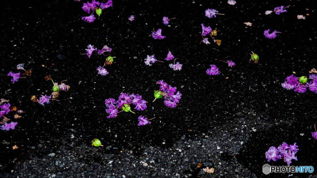 落花