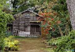 昔懐かしい風景