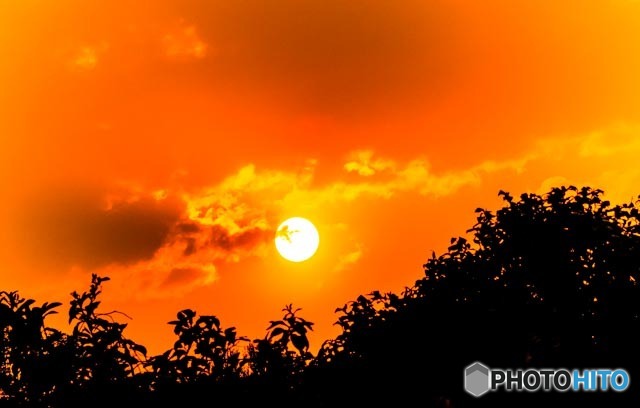 夕陽