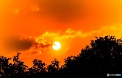 夕陽