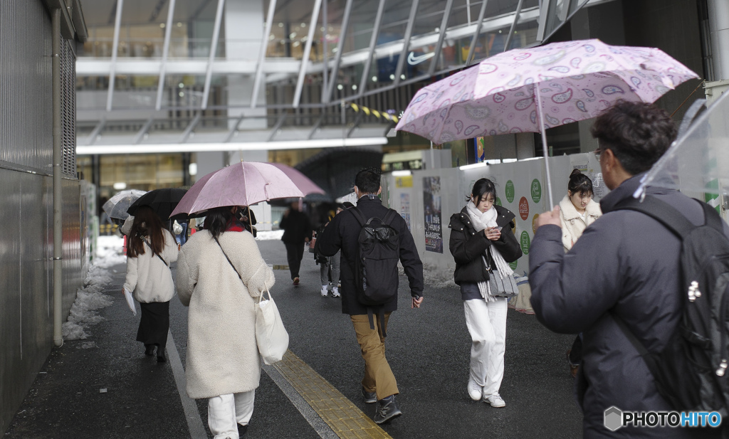 渋谷散策