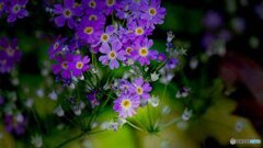 明暗の中に