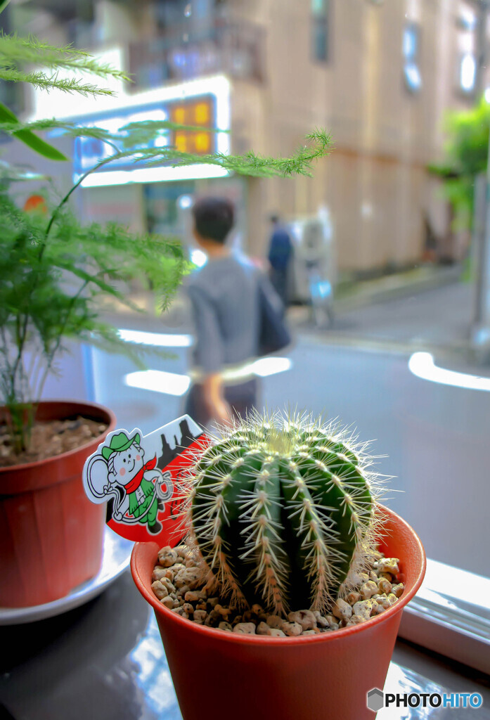 何気ない風景
