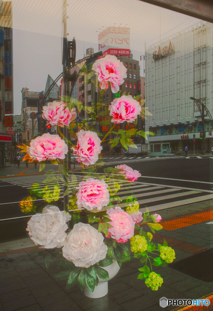 show window