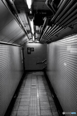銀座線通路