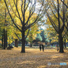 午後の公園