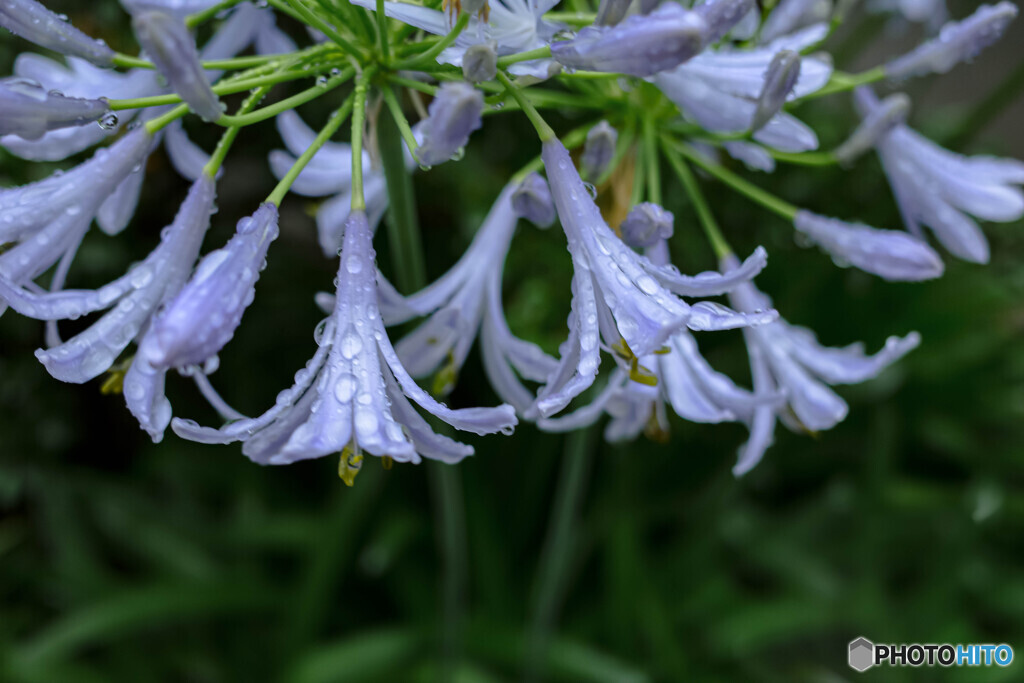 雨の日