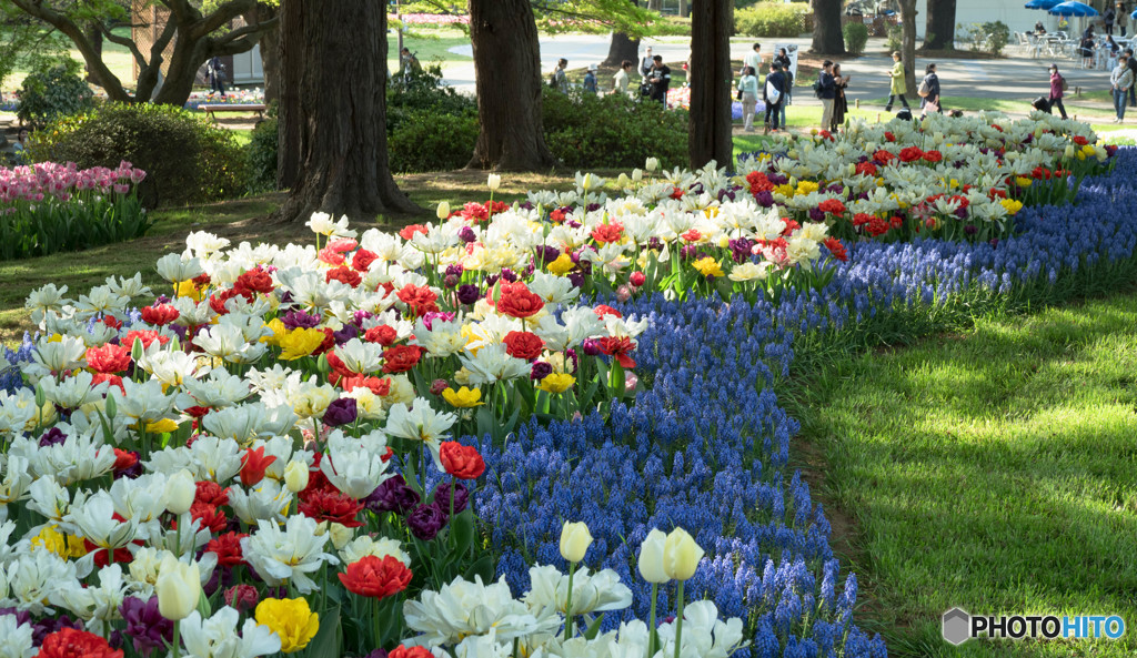 Flower　road