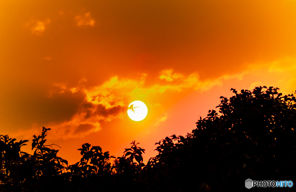 夕景