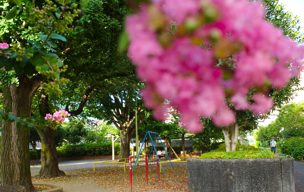 誰もいない公園