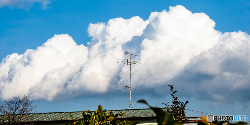 冬の空