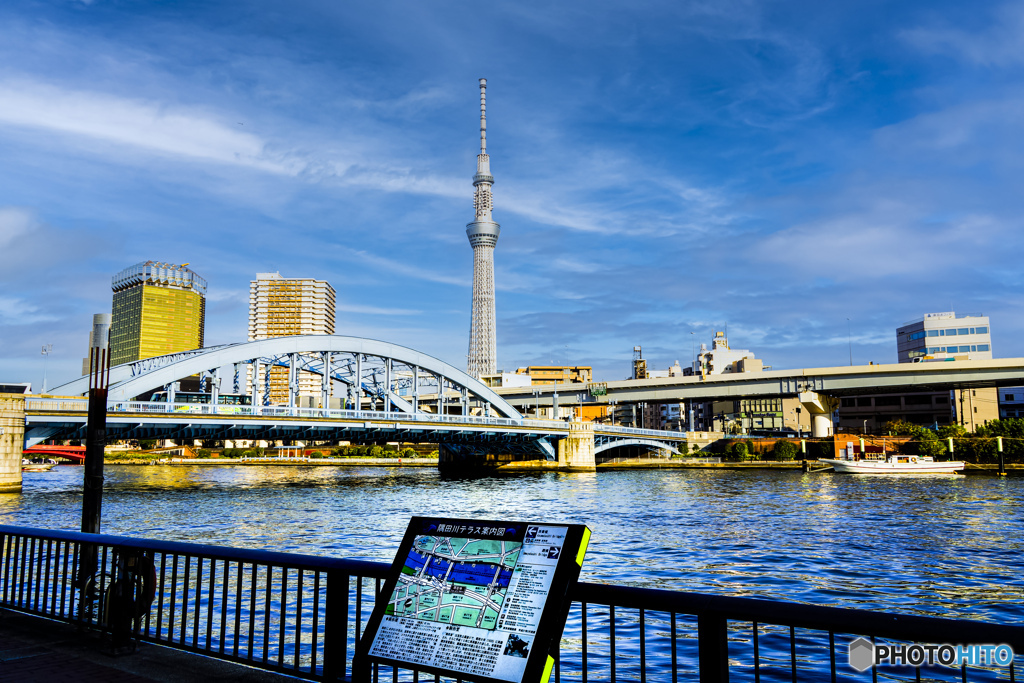 橋