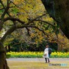 二人が歩む道