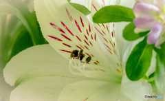 仮想の世界から