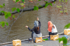 釣りを楽しむ