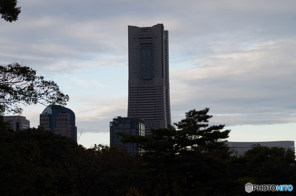 20171123_4185