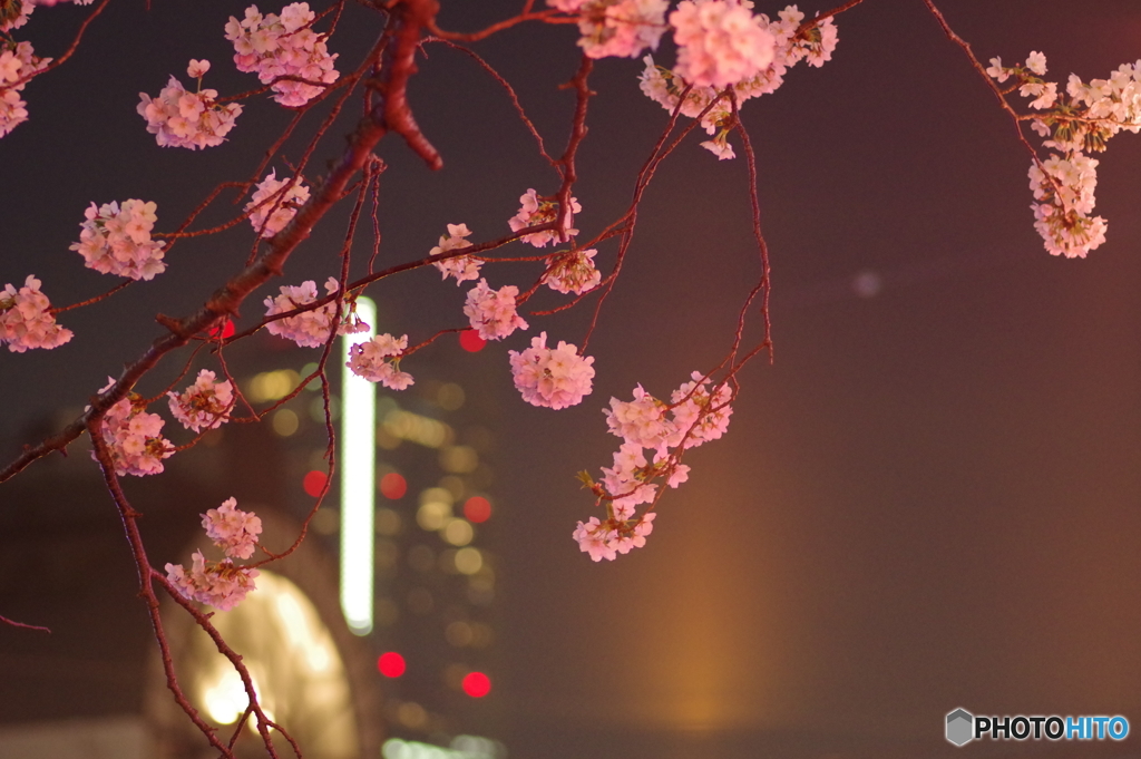 20180327_1688
