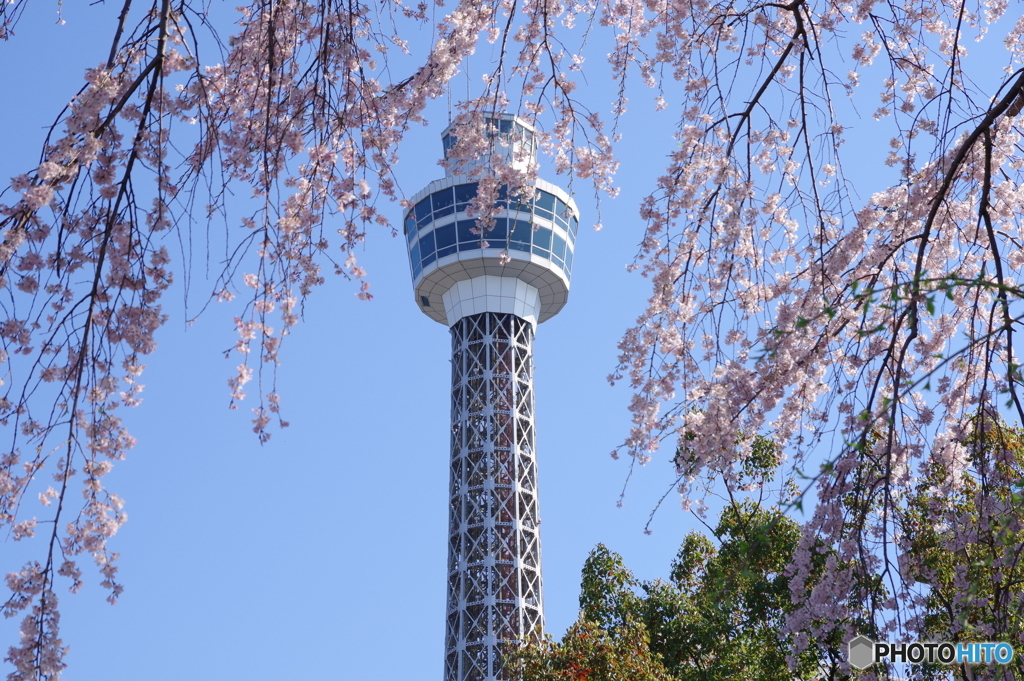 20180325_1656