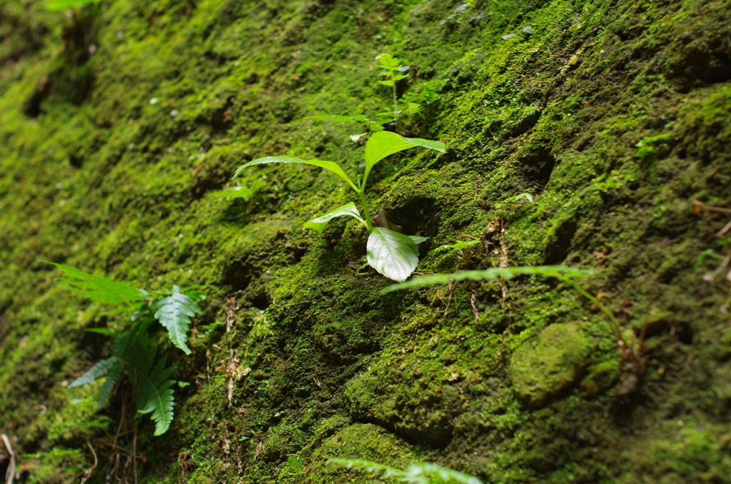20170514_0026