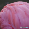 20171101_3630