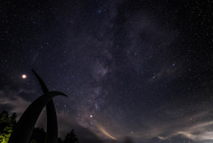 夏の夜空