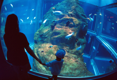 水族館