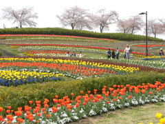 春の公園