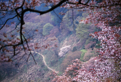 山道