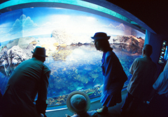 水族館