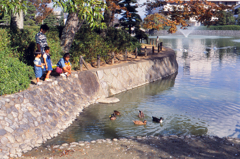 餌やり