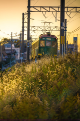 路面電車