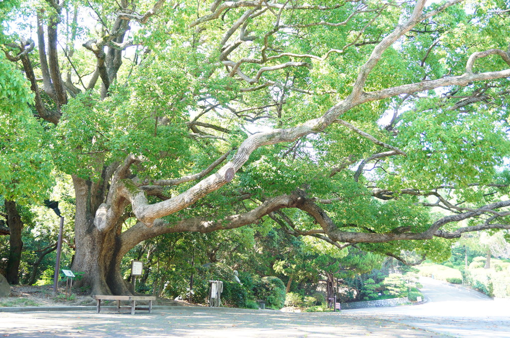 須磨離宮公園