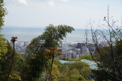 須磨離宮公園