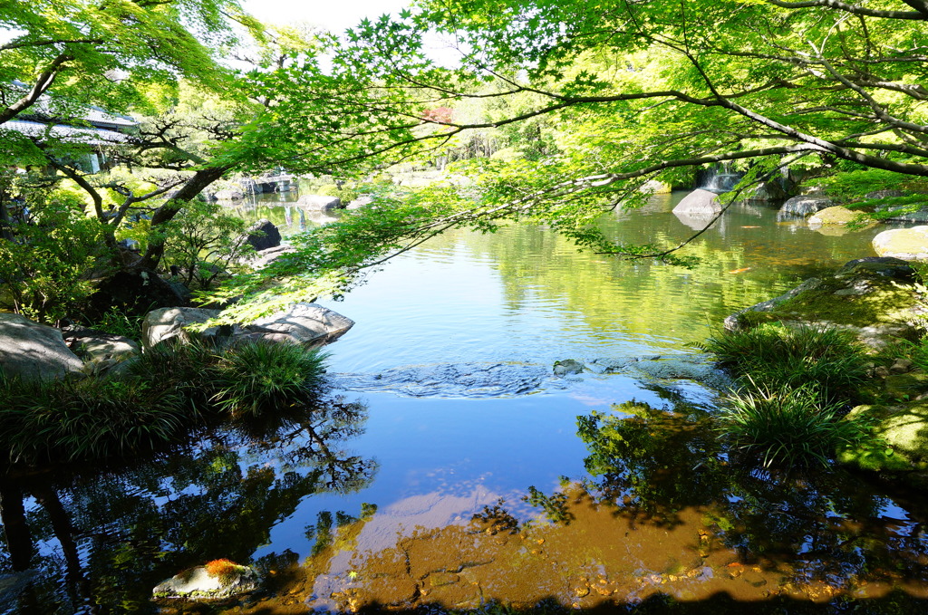姫路好古園