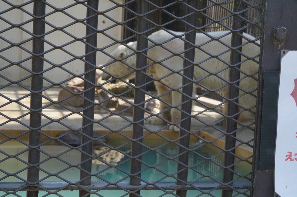 姫路市立動物園
