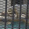 姫路市立動物園
