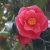 須磨離宮公園