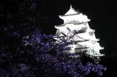 姫路城