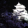 姫路城