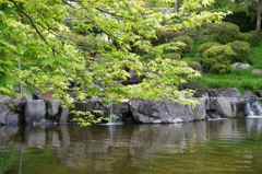須磨離宮公園