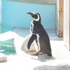 姫路市立動物園