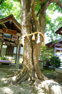 住吉神社
